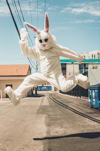 nv man in bunny costume in mid air in time lapse photography usa